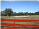 Lot 3 Holleys Road, Tenterfield NSW 2372