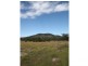 Lot 4 Mount Mackenzie Road, Tenterfield NSW 2372