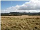 82 Robinsons Lane, Tenterfield NSW 2372