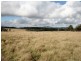 82 Robinsons Lane, Tenterfield NSW 2372