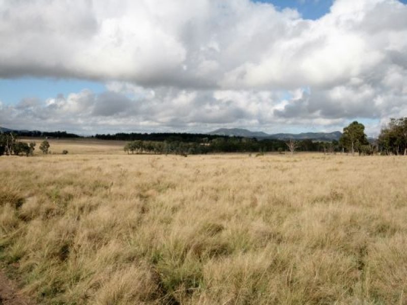 82 Robinsons Lane, Tenterfield NSW 2372