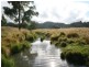 82 Robinsons Lane, Tenterfield NSW 2372