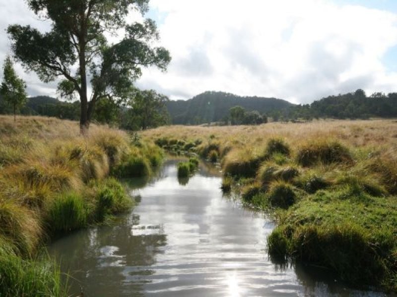 82 Robinsons Lane, Tenterfield NSW 2372