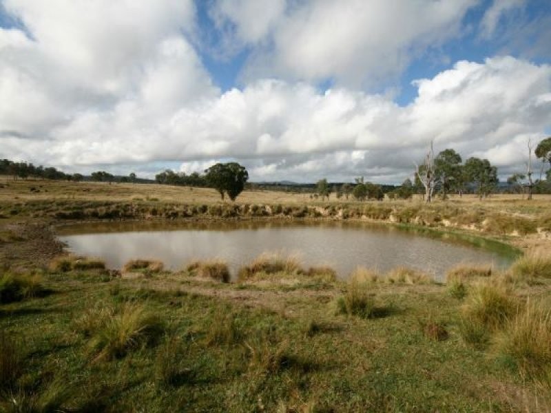 82 Robinsons Lane, Tenterfield NSW 2372
