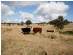 82 Robinsons Lane, Tenterfield NSW 2372