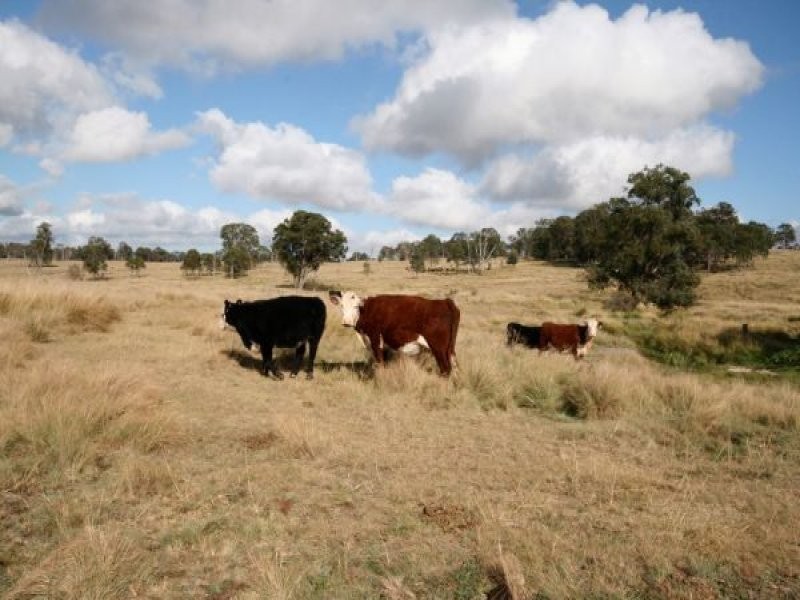 82 Robinsons Lane, Tenterfield NSW 2372
