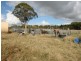 82 Robinsons Lane, Tenterfield NSW 2372