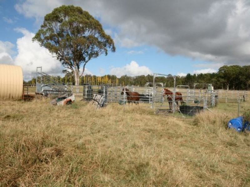 82 Robinsons Lane, Tenterfield NSW 2372