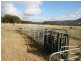 82 Robinsons Lane, Tenterfield NSW 2372