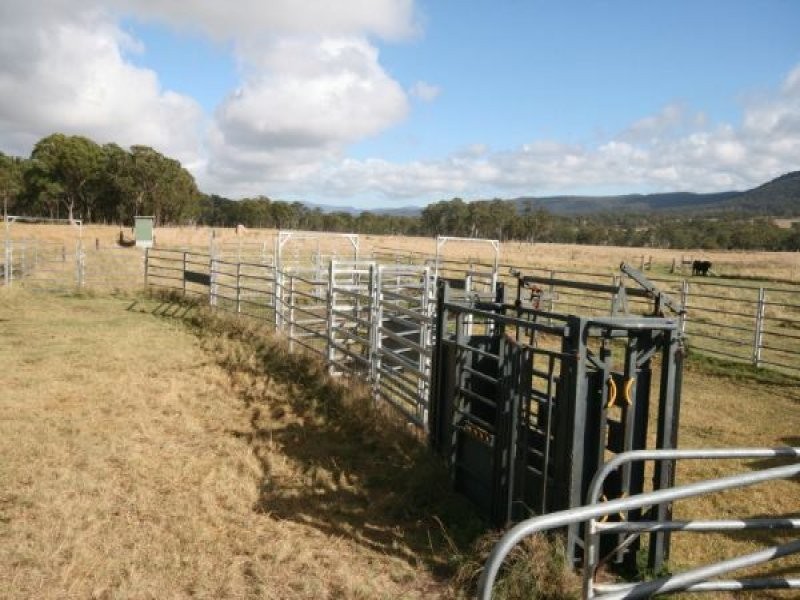 82 Robinsons Lane, Tenterfield NSW 2372