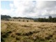 82 Robinsons Lane, Tenterfield NSW 2372