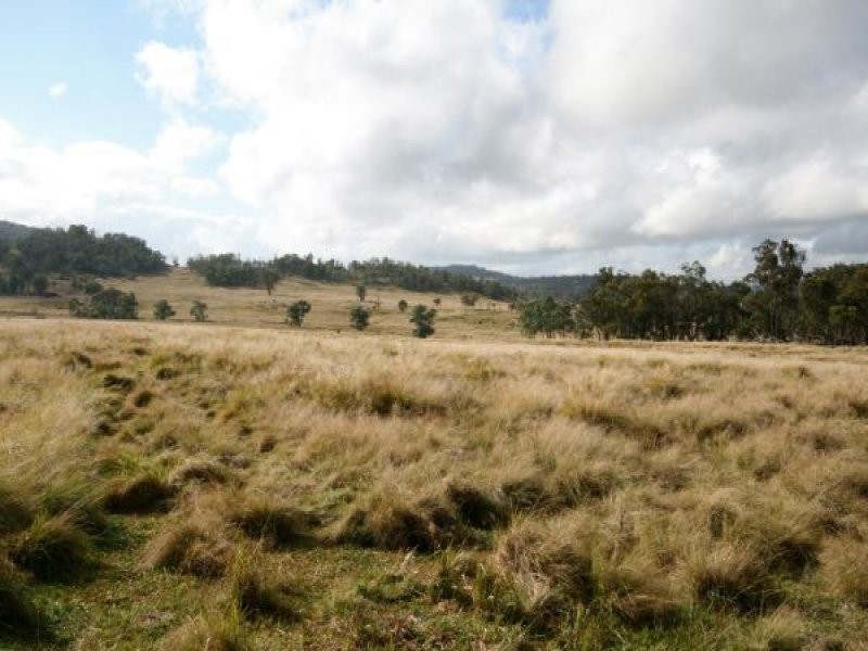 82 Robinsons Lane, Tenterfield NSW 2372