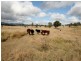82 Robinsons Lane, Tenterfield NSW 2372