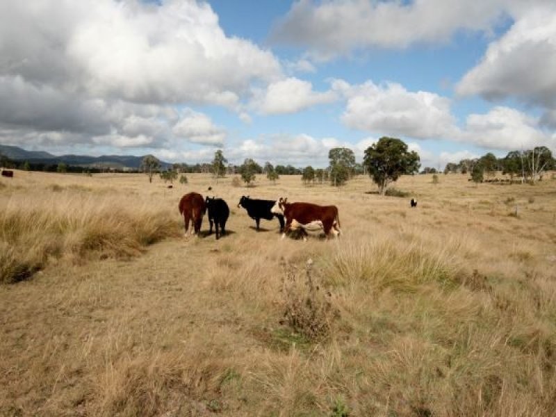 82 Robinsons Lane, Tenterfield NSW 2372