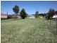 Tenterfield NSW 2372