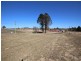 Tenterfield NSW 2372