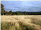 Lot 1 Bryans Gap Road, Tenterfield NSW 2372