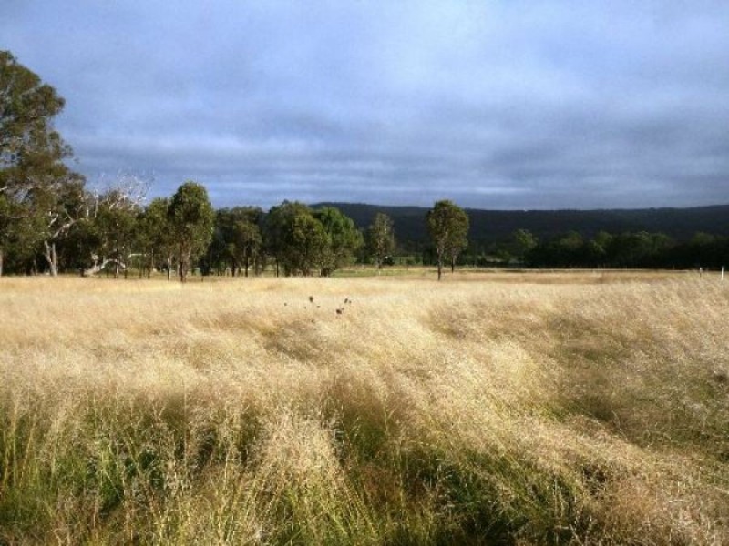Lot 1 Bryans Gap Road, Tenterfield NSW 2372