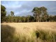 Lot 1 Bryans Gap Road, Tenterfield NSW 2372
