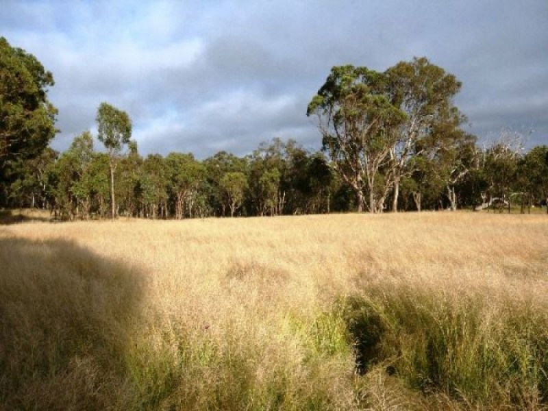 Lot 1 Bryans Gap Road, Tenterfield NSW 2372