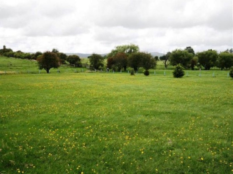 495 Rouse Street, Tenterfield NSW 2372