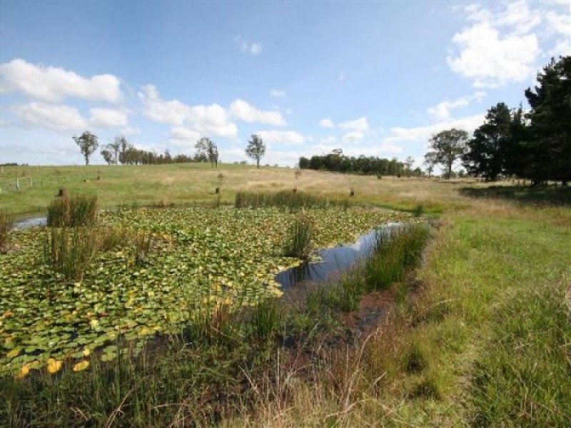 Lot 203 Bruxner Highway, Tenterfield NSW 2372