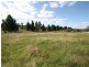 Lot 203 Bruxner Highway, Tenterfield NSW 2372