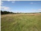 Lot 203 Bruxner Highway, Tenterfield NSW 2372