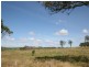 Lot 203 Bruxner Highway, Tenterfield NSW 2372