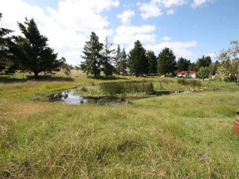 Lot 203 Bruxner Highway, Tenterfield NSW 2372