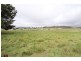 Lot 1 Bellevue Road, Tenterfield NSW 2372