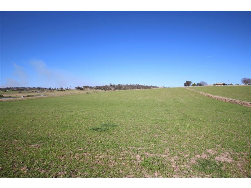 Lot 31 Bellevue Road, Tenterfield NSW 2372