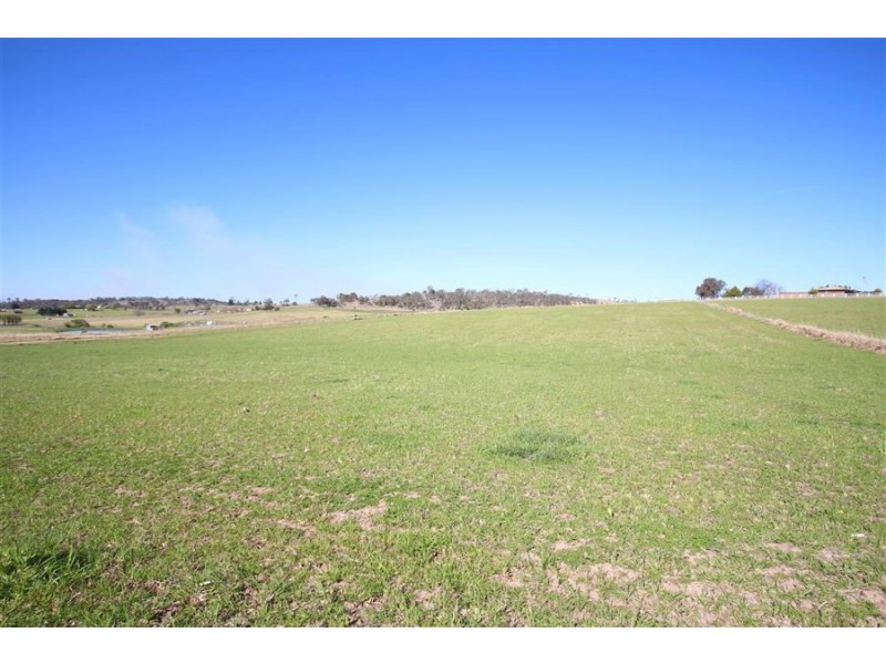 Lot 31 Bellevue Road, Tenterfield NSW 2372