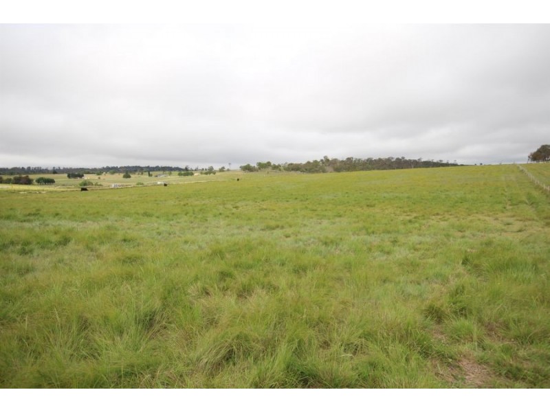 Lot 31 Bellevue Road, Tenterfield NSW 2372