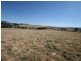 Lot 1 Bellevue Road, Tenterfield NSW 2372