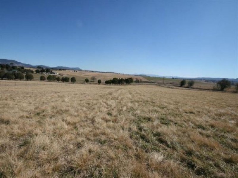 Lot 1 Bellevue Road, Tenterfield NSW 2372