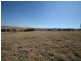 Lot 1 Bellevue Road, Tenterfield NSW 2372