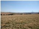 Lot 3 Bellevue Road, Tenterfield NSW 2372