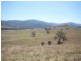 26/1213 Mole River Road, Tenterfield NSW 2372