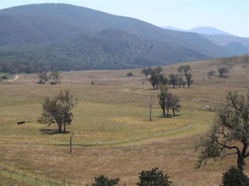 26/1213 Mole River Road, Tenterfield NSW 2372