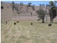 26/1213 Mole River Road, Tenterfield NSW 2372