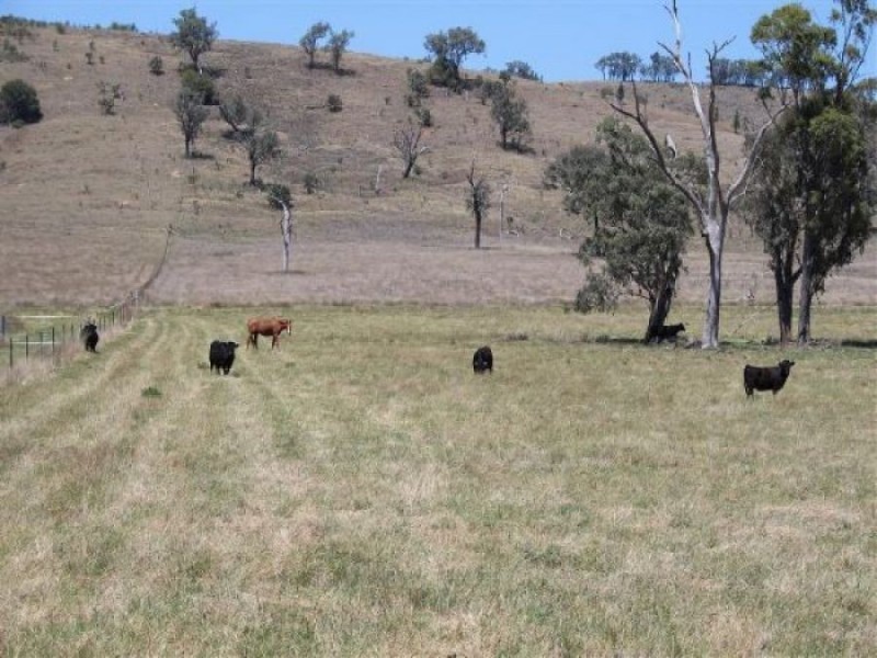 26/1213 Mole River Road, Tenterfield NSW 2372