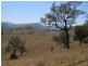 26/1213 Mole River Road, Tenterfield NSW 2372
