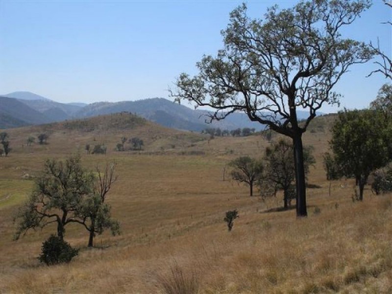 26/1213 Mole River Road, Tenterfield NSW 2372