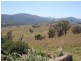 26/1213 Mole River Road, Tenterfield NSW 2372