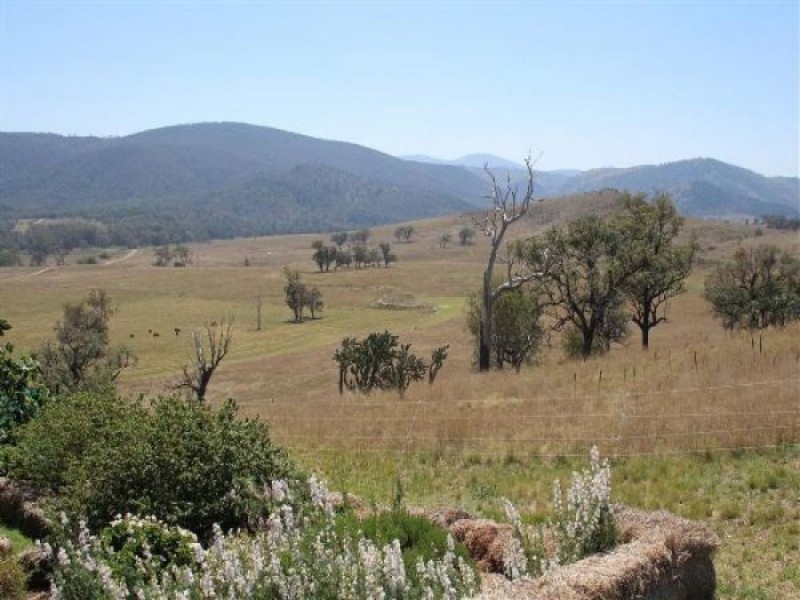 26/1213 Mole River Road, Tenterfield NSW 2372