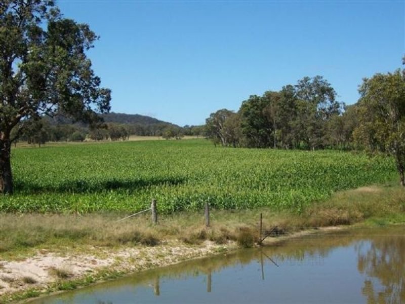 Tenterfield NSW 2372