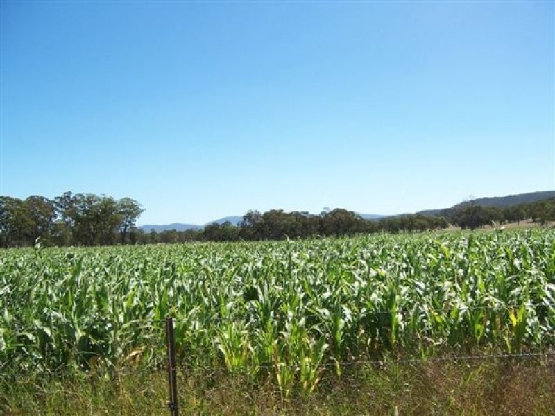 Tenterfield NSW 2372