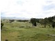 Tenterfield NSW 2372