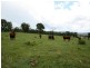 Tenterfield NSW 2372